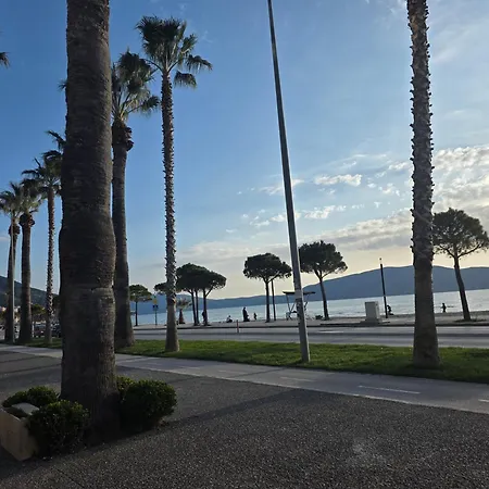Alea Vlore